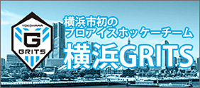 グリッツスポーツイノベータズ株式会社